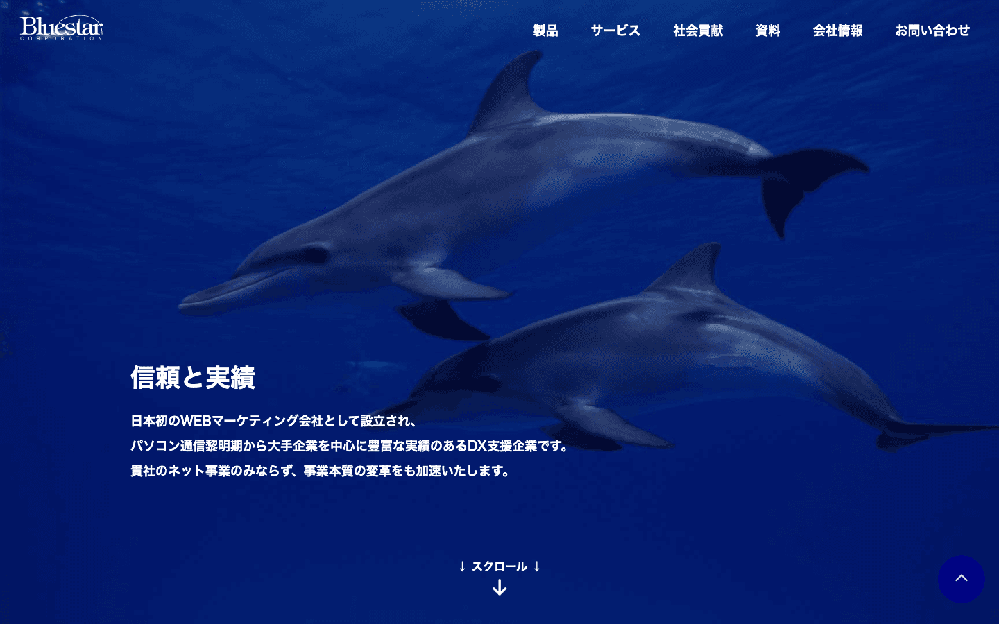 ブルースター株式会社 公式サイトのスクリーンショット