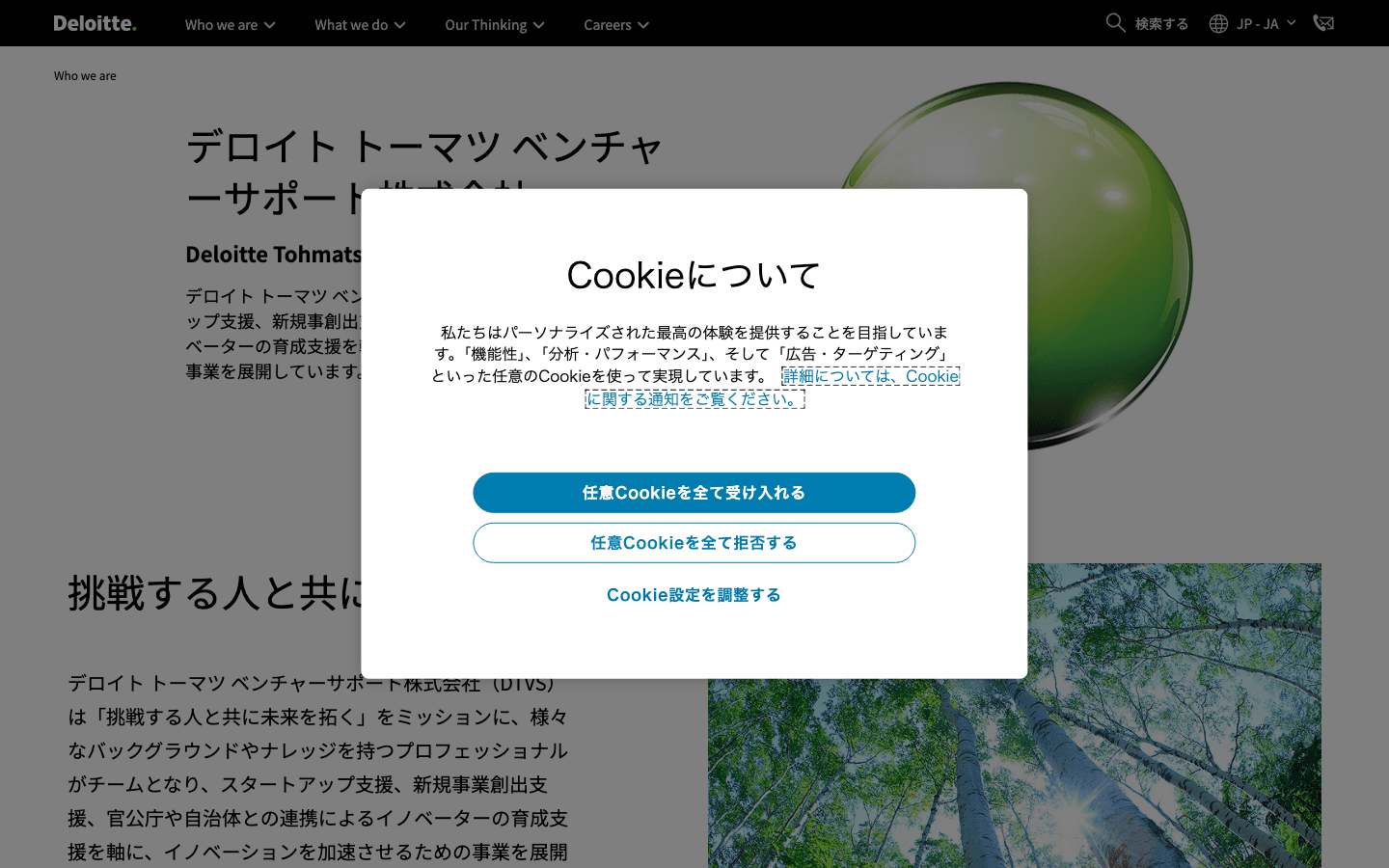 デロイトトーマツベンチャーサポート株式会社 公式サイトのスクリーンショット