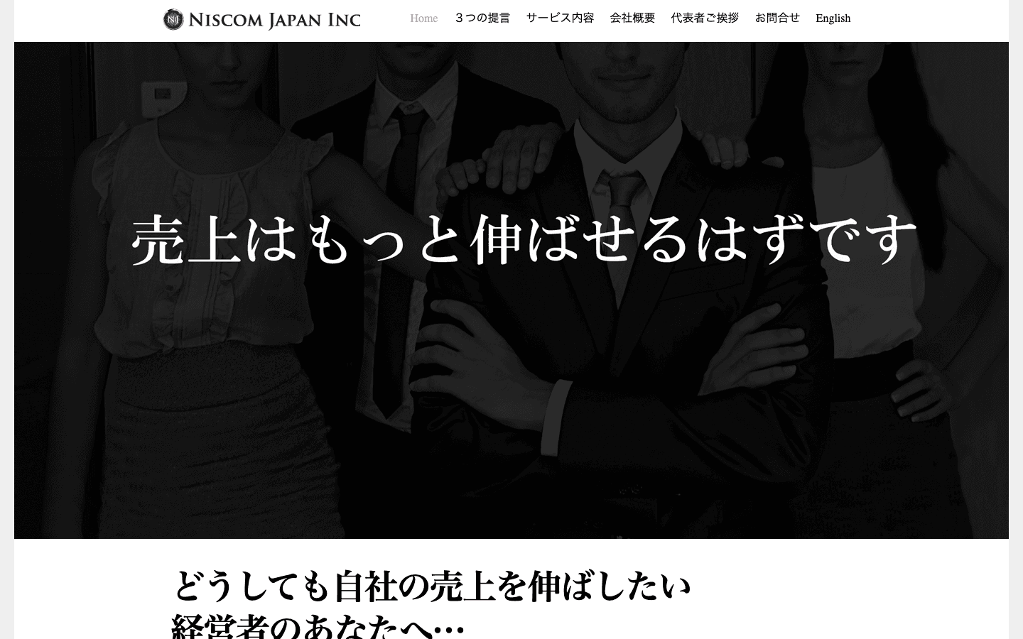 株式会社ニスコムジャパン 公式サイトのスクリーンショット
