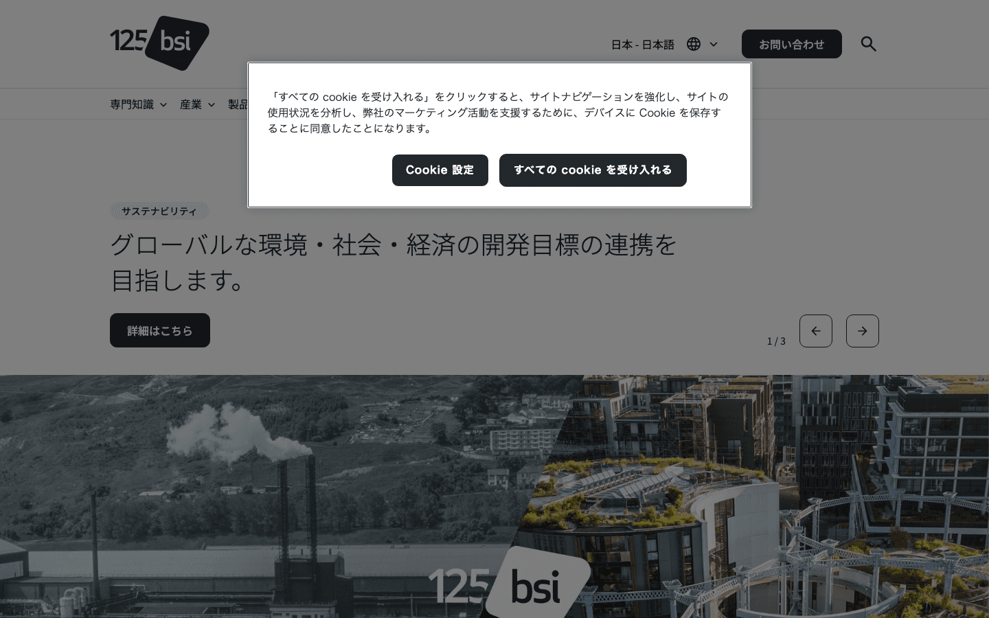 BSIグループジャパン株式会社 公式サイトのスクリーンショット