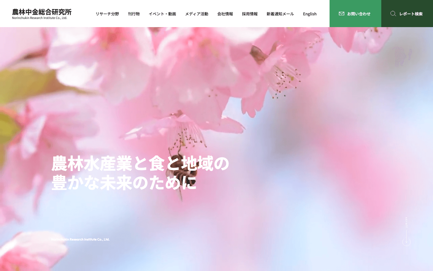 株式会社農林中金総合研究所 公式サイトのスクリーンショット