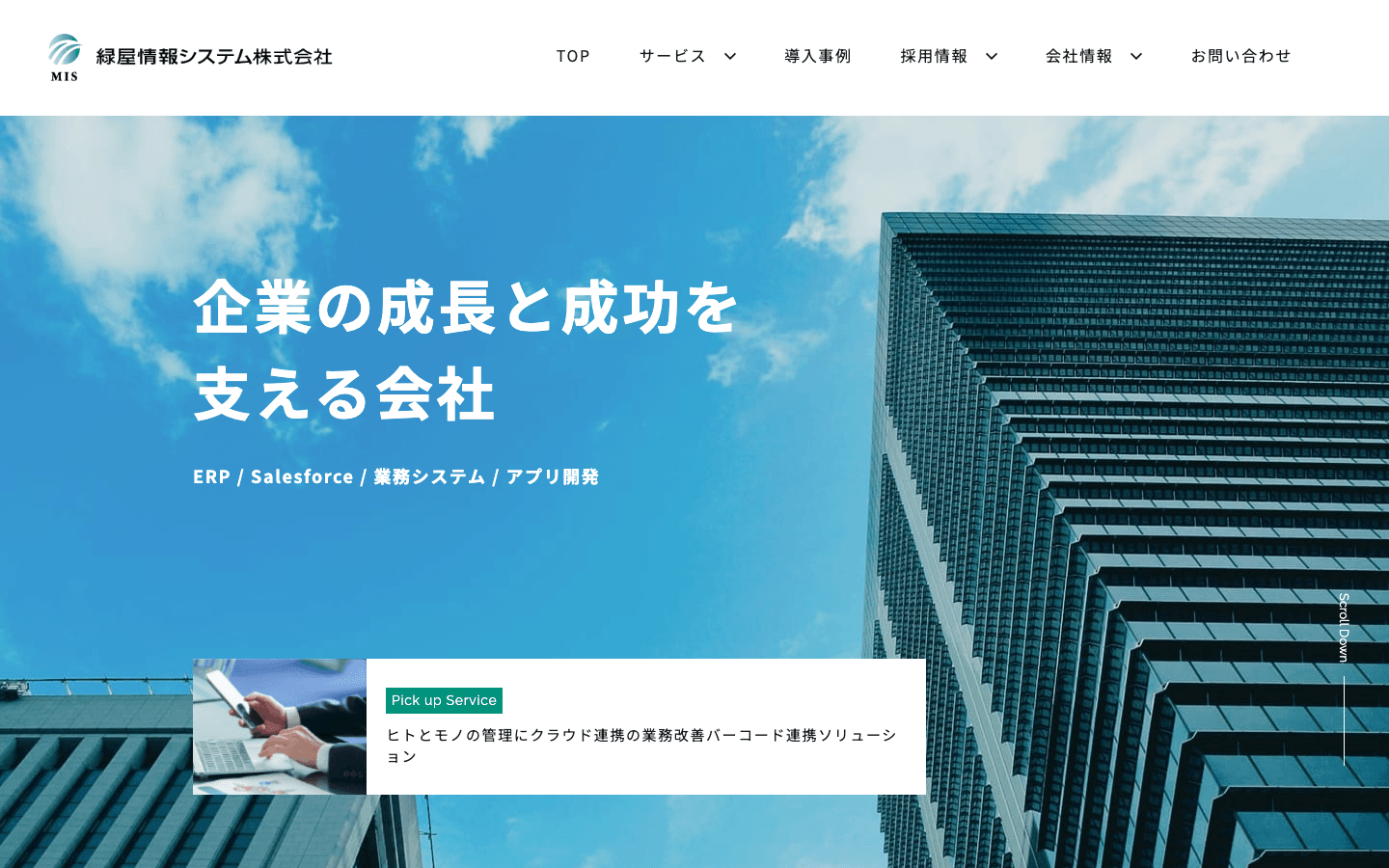 緑屋情報システム株式会社 公式サイトのスクリーンショット